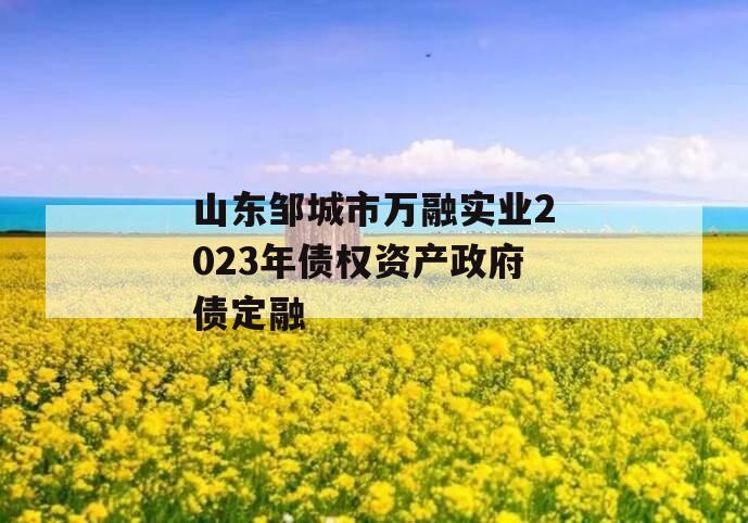 山东邹城市万融实业2023年债权资产政府债定融 山东邹城市万融实业2023年债权资产政府债定融