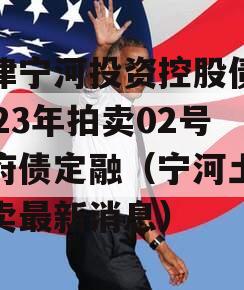 天津宁河投资控股债权2023年拍卖02号政府债定融（宁河土地拍卖最新消息）