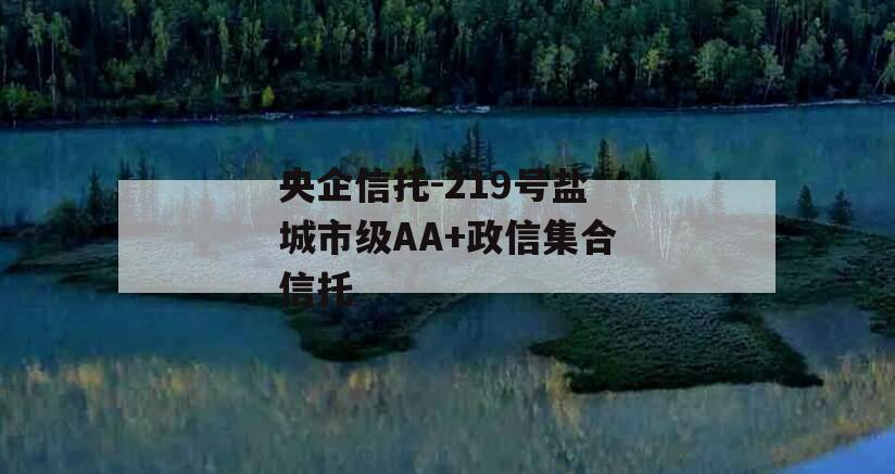 央企信托-219号盐城市级AA+政信集合信托 央企信托-219号盐城市级AA+政信集合信托
