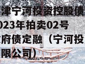天津宁河投资控股债权2023年拍卖02号政府债定融（宁河投资有限公司）