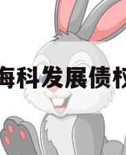 海科发展债权