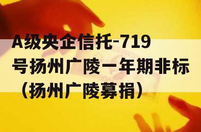 A级央企信托-719号扬州广陵一年期非标（扬州广陵募捐）