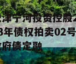 天津宁河投资控股2023年债权拍卖02号政府债定融