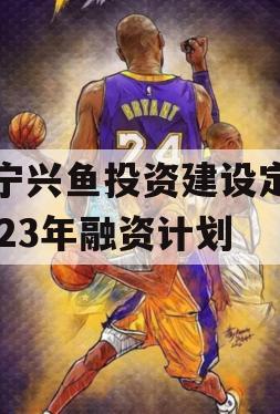 济宁兴鱼投资建设定向2023年融资计划