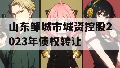 山东邹城市城资控股2023年债权转让