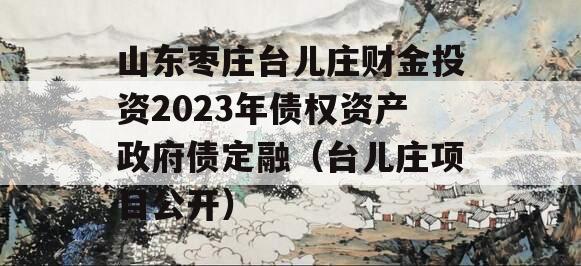 山东枣庄台儿庄财金投资2023年债权资产政府债定融（台儿庄项目公开）