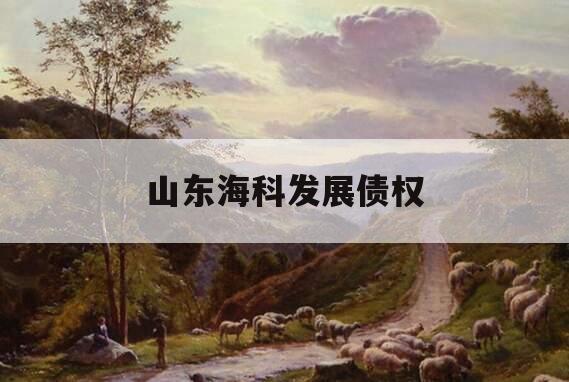 山东海科发展债权