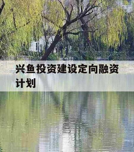 兴鱼投资建设定向融资计划