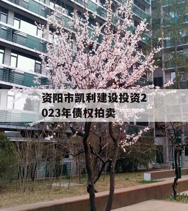 资阳市凯利建设投资2023年债权拍卖