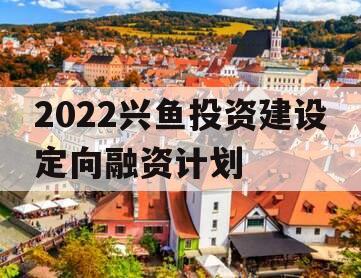 2022兴鱼投资建设定向融资计划