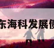 山东海科发展债权