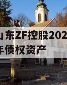 山东ZF控股2023年债权资产