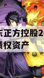 山东正方控股2023年债权资产 山东正方控股2023年债权资产