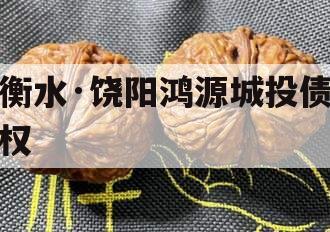衡水·饶阳鸿源城投债权