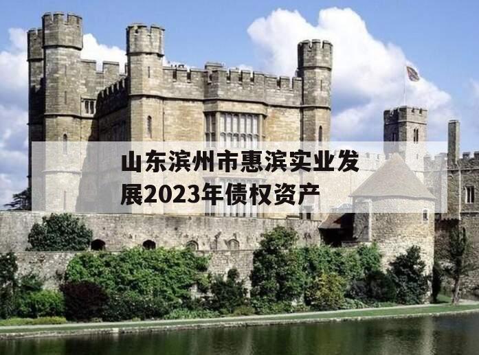 山东滨州市惠滨实业发展2023年债权资产