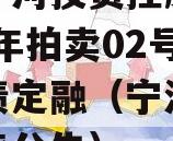 天津宁河投资控股债权2023年拍卖02号政府债定融（宁河区法院拍卖公告）