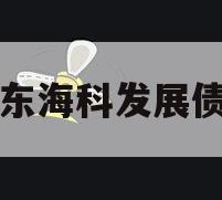 山东海科发展债权 山东海科发展债权