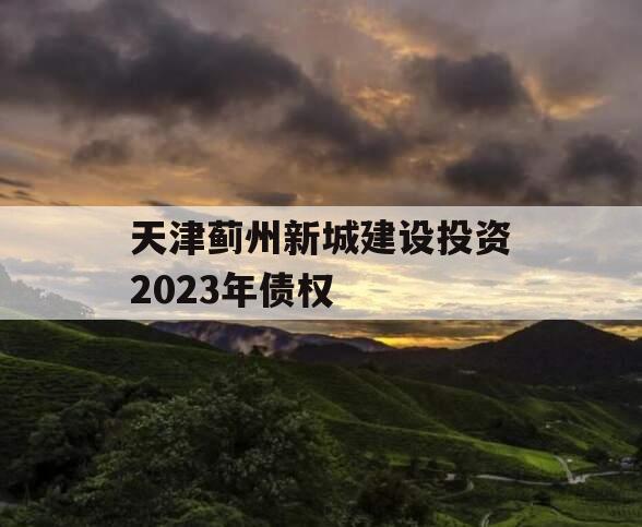 天津蓟州新城建设投资2023年债权
