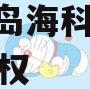 山东青岛海科发展2023年债权