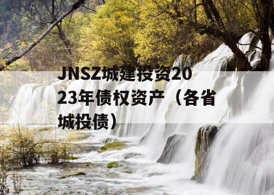 JNSZ城建投资2023年债权资产（各省城投债）