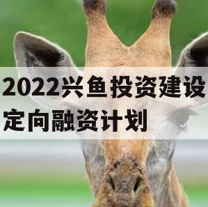 2022兴鱼投资建设定向融资计划