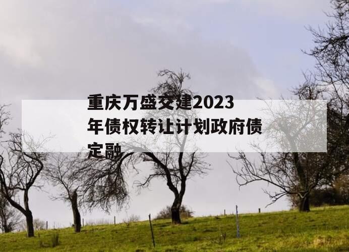 重庆万盛交建2023年债权转让计划政府债定融