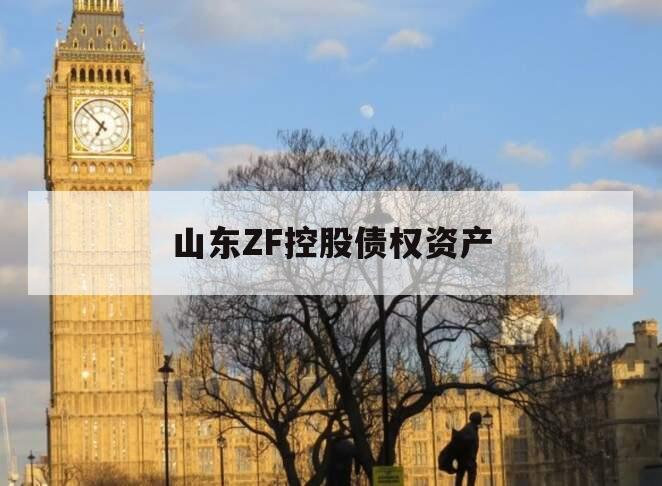 山东ZF控股债权资产