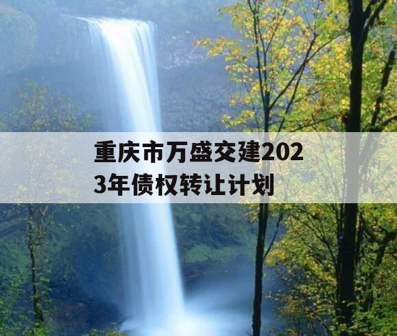 重庆市万盛交建2023年债权转让计划