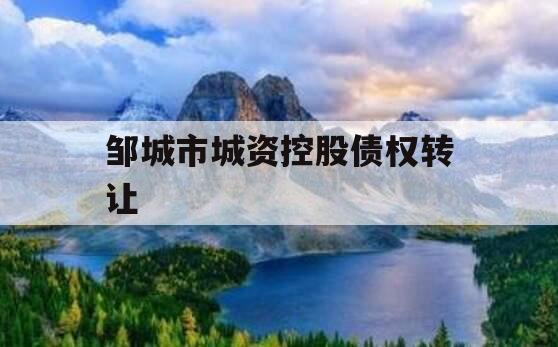 邹城市城资控股债权转让
