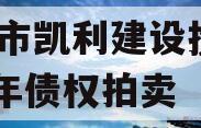 资阳市凯利建设投资2023年债权拍卖
