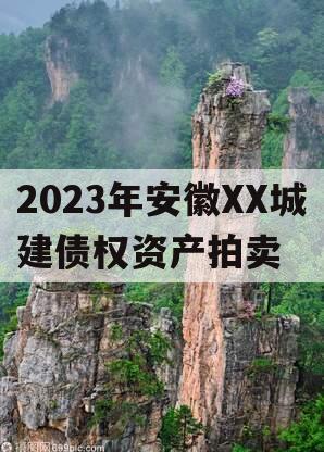 2023年安徽XX城建债权资产拍卖