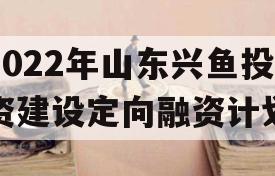 2022年山东兴鱼投资建设定向融资计划