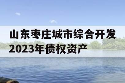 山东枣庄城市综合开发2023年债权资产