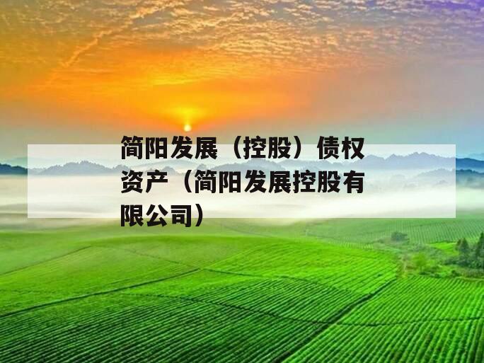 简阳发展（控股）债权资产（简阳发展控股有限公司）