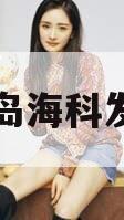山东青岛海科发展债权