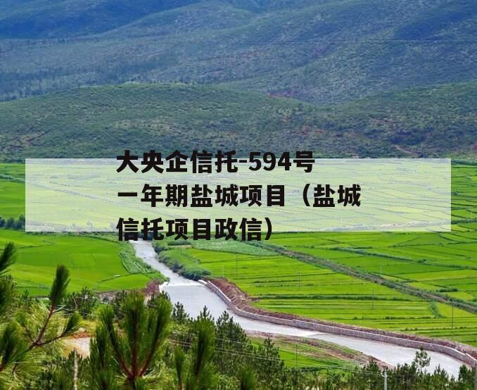 大央企信托-594号一年期盐城项目（盐城信托项目政信）