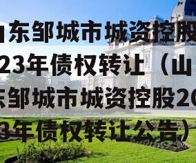 山东邹城市城资控股2023年债权转让（山东邹城市城资控股2023年债权转让公告）