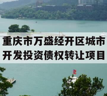 重庆市万盛经开区城市开发投资债权转让项目