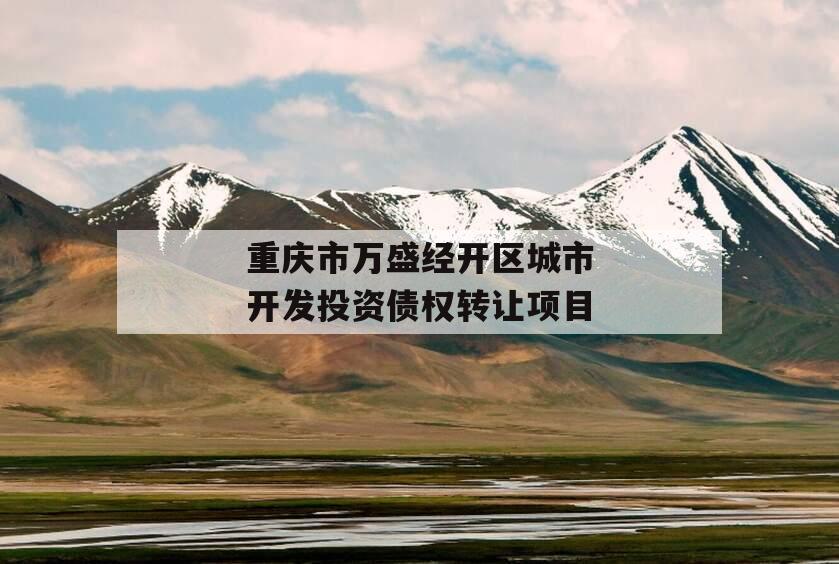 重庆市万盛经开区城市开发投资债权转让项目