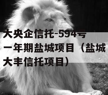 大央企信托-594号一年期盐城项目（盐城大丰信托项目）