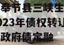 重庆奉节县三峡生态发展2023年债权转让项目政府债定融