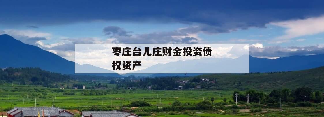 枣庄台儿庄财金投资债权资产 枣庄台儿庄财金投资债权资产