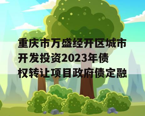 重庆市万盛经开区城市开发投资2023年债权转让项目政府债定融