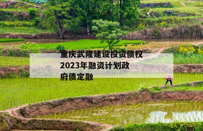 重庆武隆建设投资债权2023年融资计划政府债定融
