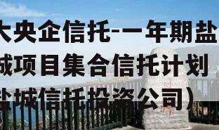大央企信托-一年期盐城项目集合信托计划（盐城信托投资公司）