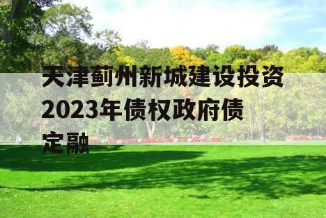 天津蓟州新城建设投资2023年债权政府债定融