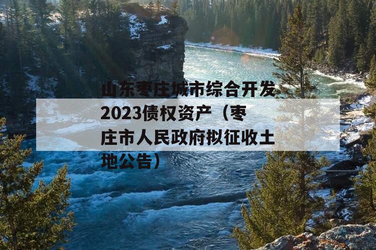 山东枣庄城市综合开发2023债权资产（枣庄市人民政府拟征收土地公告）