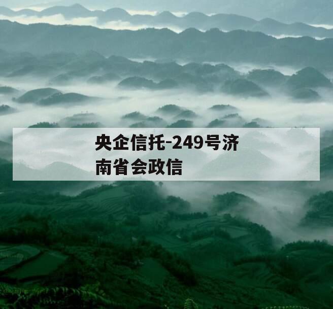 央企信托-249号济南省会政信