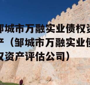 邹城市万融实业债权资产（邹城市万融实业债权资产评估公司）