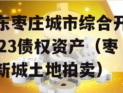 山东枣庄城市综合开发2023债权资产（枣庄新城土地拍卖）